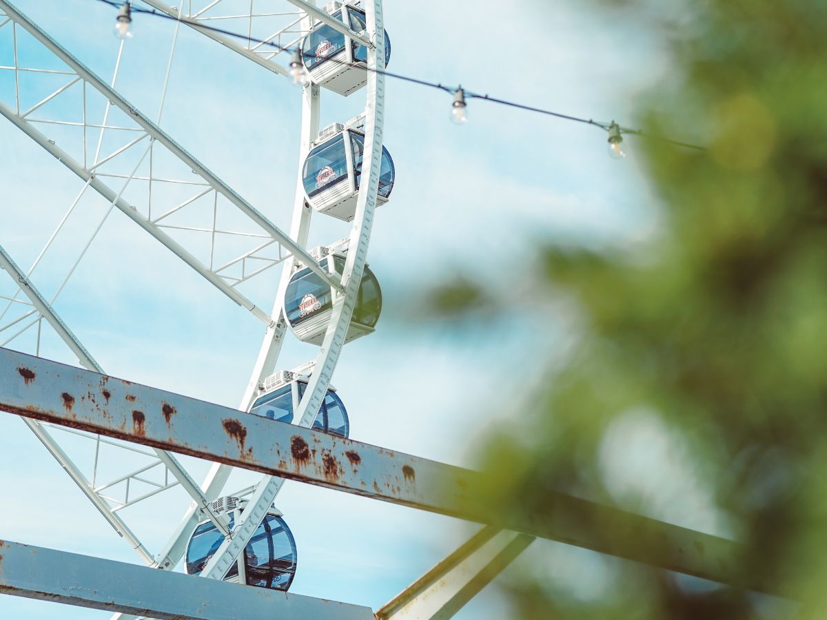 Homestead Veterinary Hospital Career Page (2)