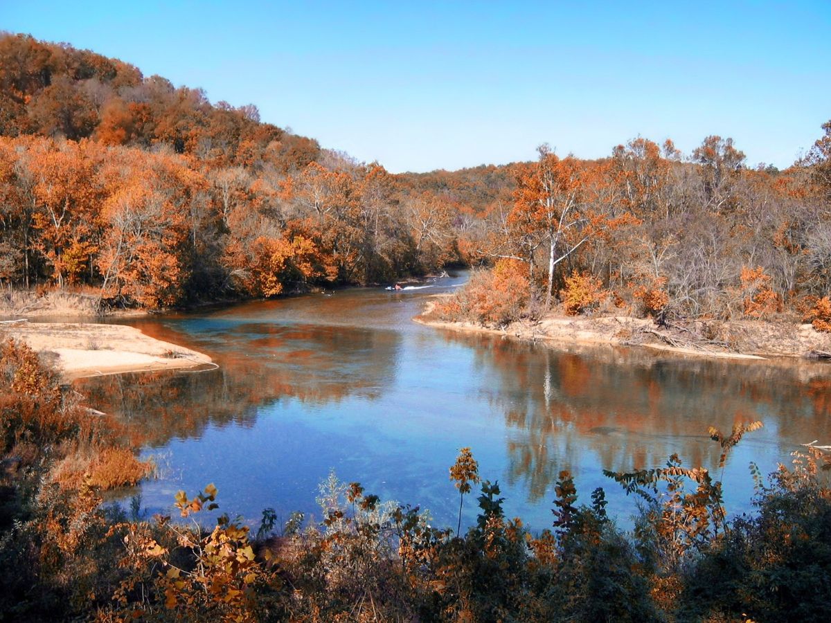 Homestead Veterinary Hospital Career Page (4)